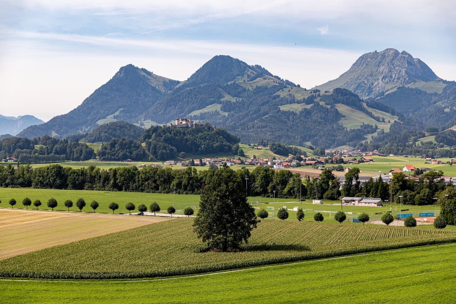 Le panorama sur la Gruyère, le Moléson et la campagne de Broc