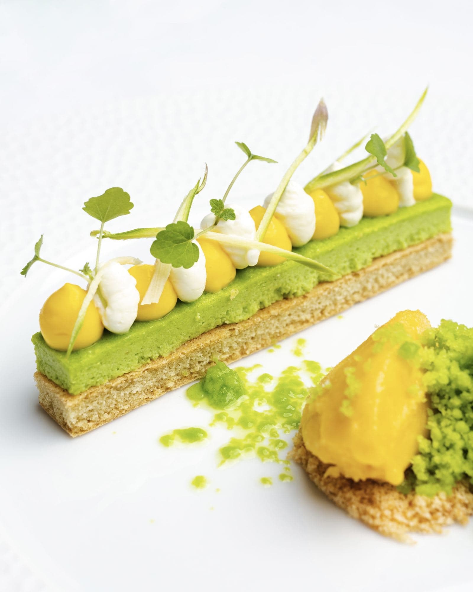 Entremets aux herbes et sorbet